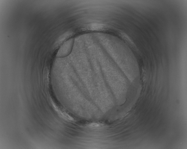 X0000080740542200701121939