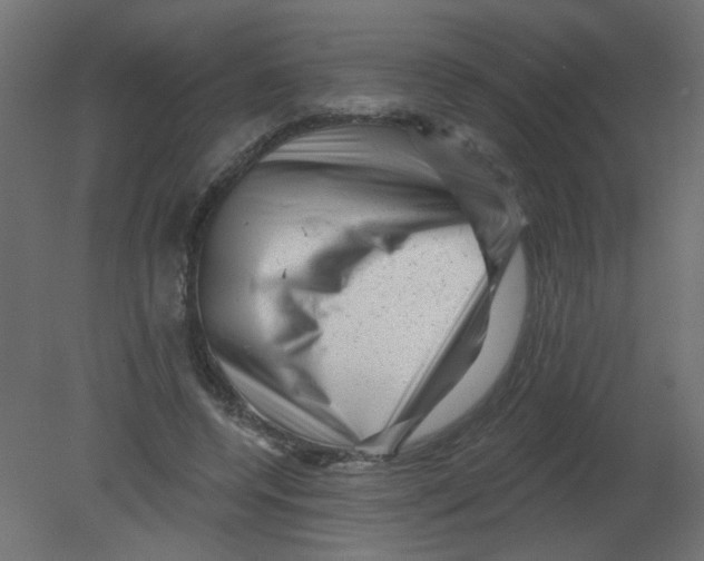 X0000080740544200701121939