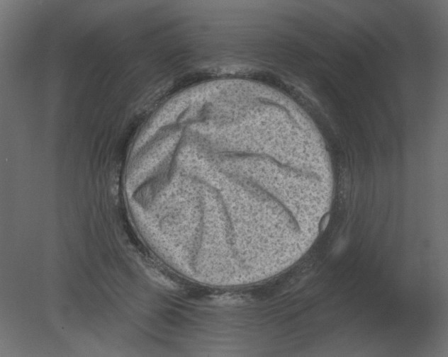 X0000080740545200701121939