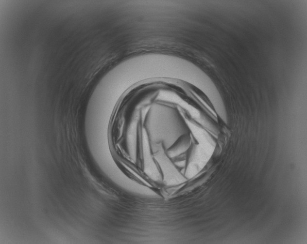 X0000080740546200701121939