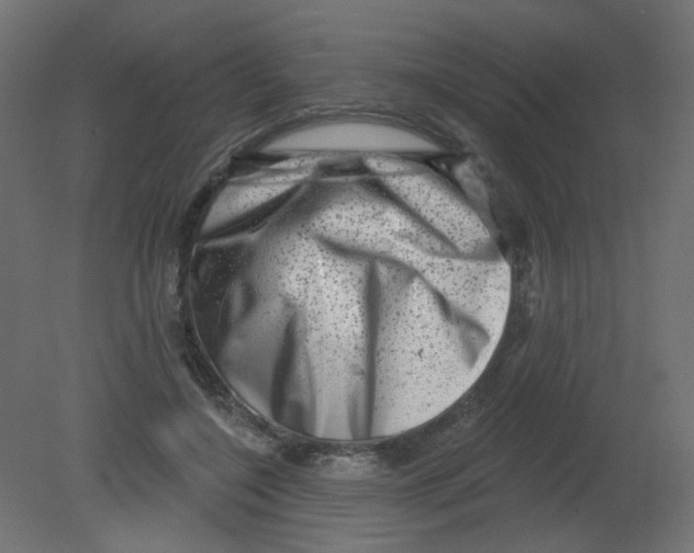 X0000080740548200701121939