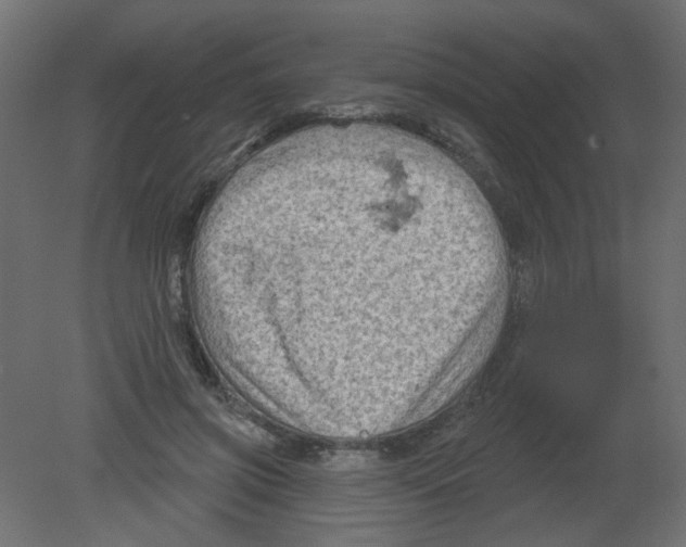 X0000080740549200701121939