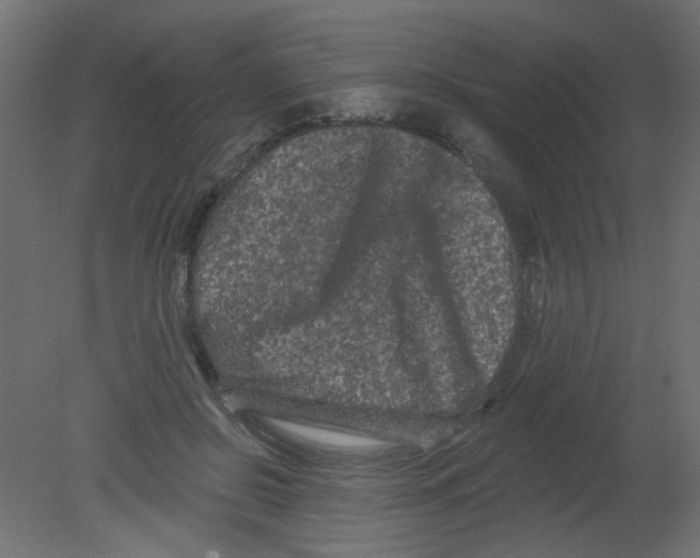 X0000080740550200701121939