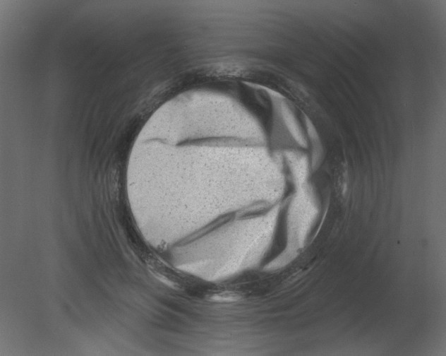 X0000080740551200701121939