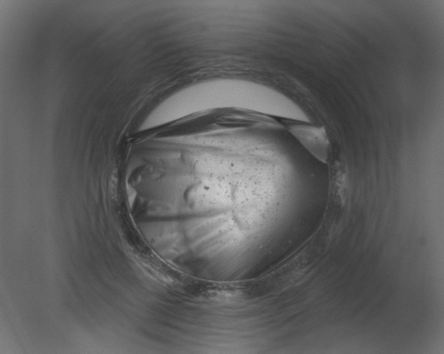 X0000080740552200701121939