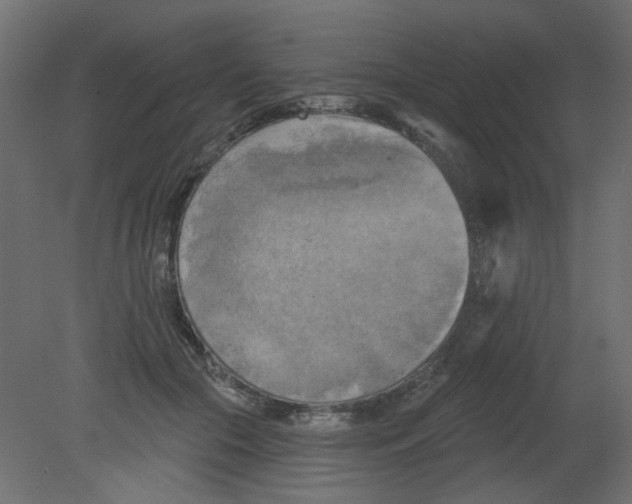 X0000080740553200701121939