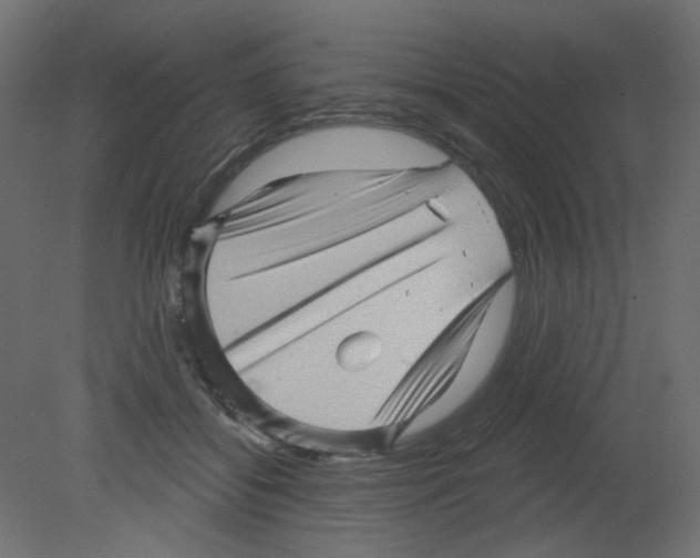 X0000080740556200701121939