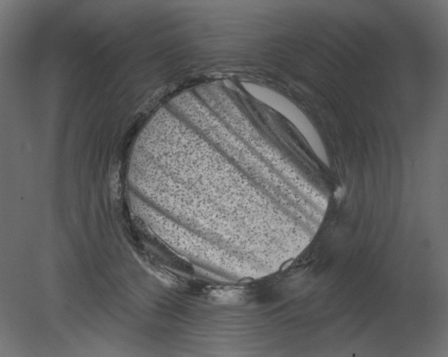 X0000080740560200701121939