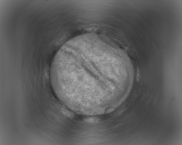 X0000080740561200701121939