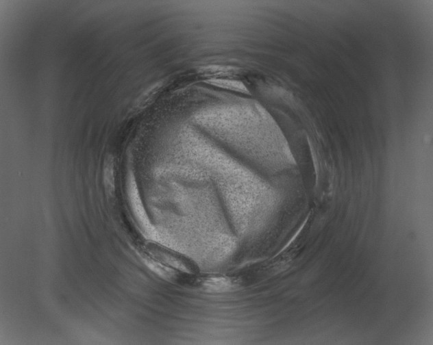 X0000080740562200701121940