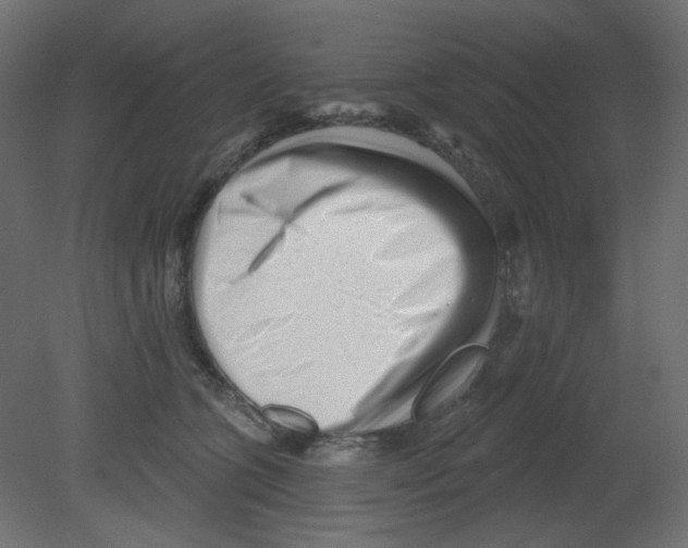 X0000080740563200701121940