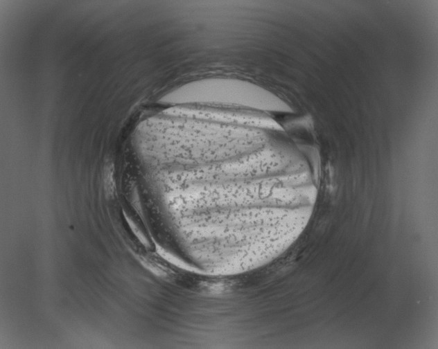 X0000080740564200701121940