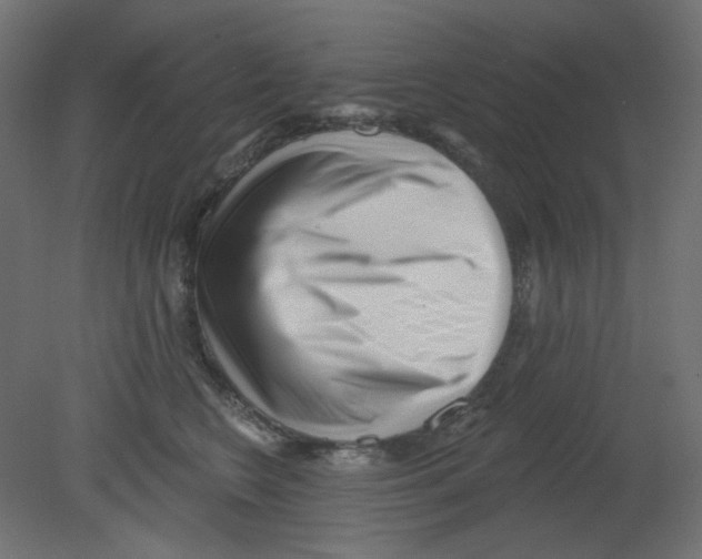 X0000080740566200701121940