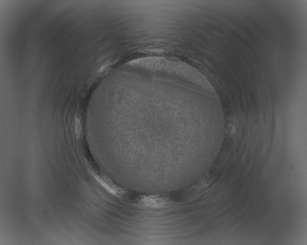 X0000080740568200701121940