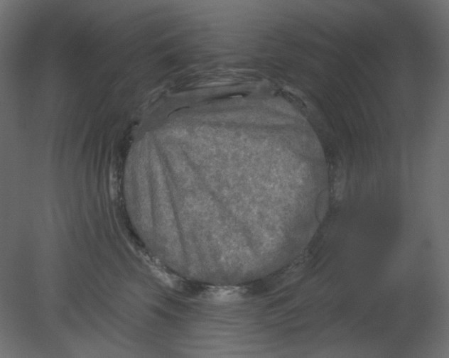 X0000080740569200701121940