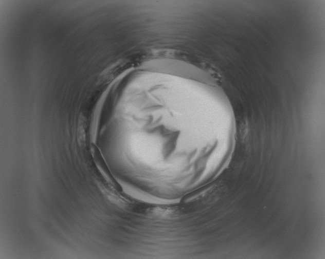 X0000080740570200701121940