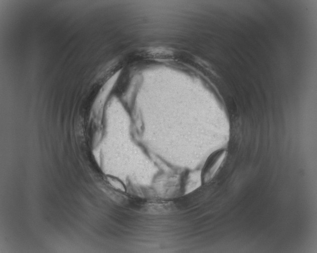 X0000080740571200701121940