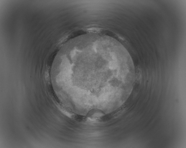 X0000080740573200701121940