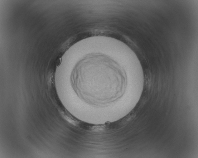 X0000080740574200701121940