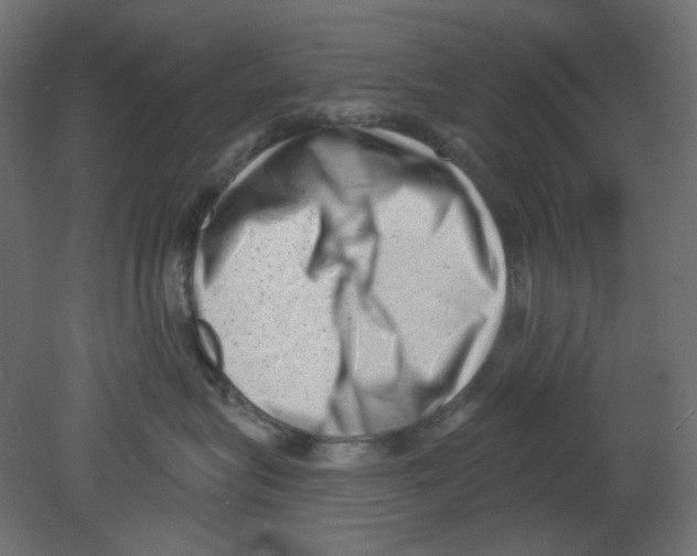 X0000080740575200701121940