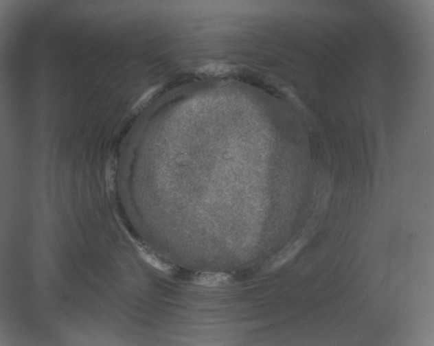 X0000080740576200701121940