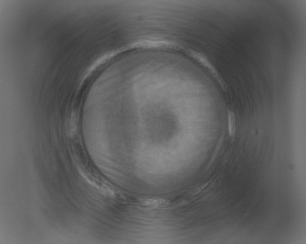 X0000080740579200701121939