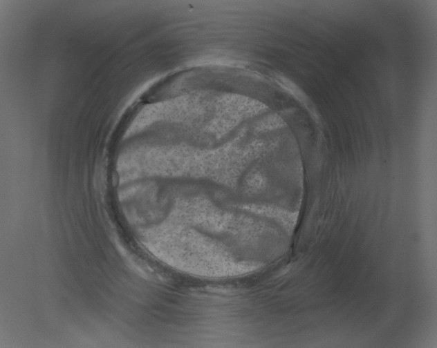 X0000080740580200701121939