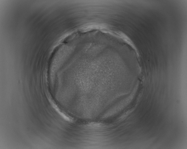 X0000080740581200701121939