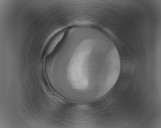 X0000080740583200701121939