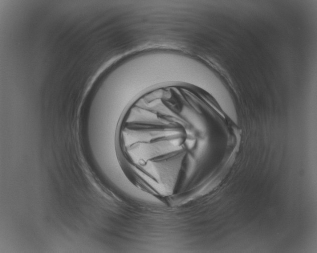 X0000080740584200701121939