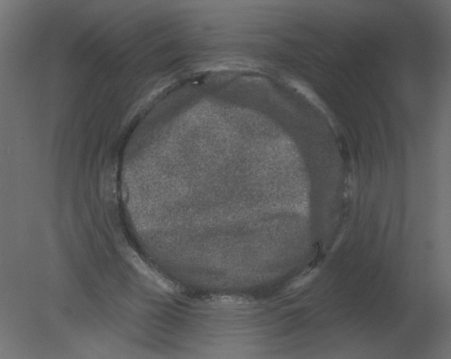 X0000080740585200701121939