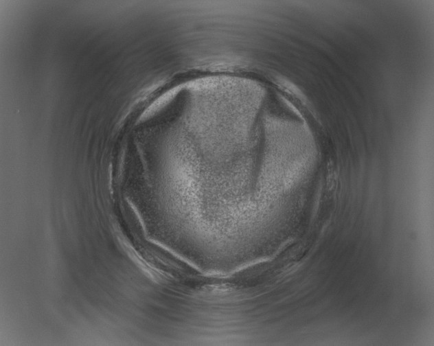 X0000080740589200701121939