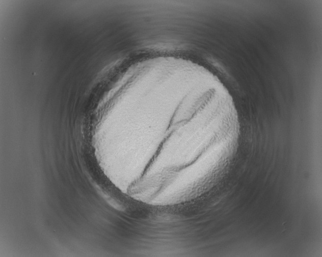 X0000080740590200701121939