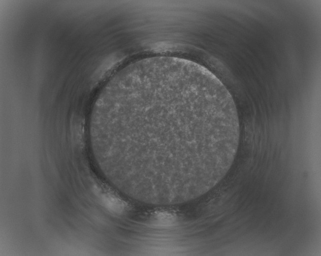 X0000080740592200701121939