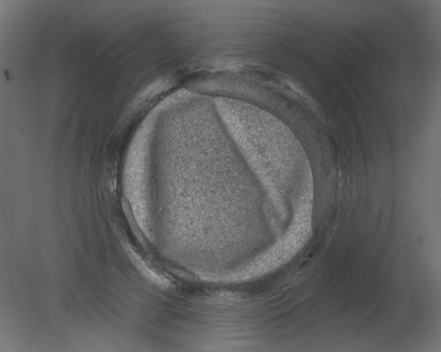 X0000080740593200701121939