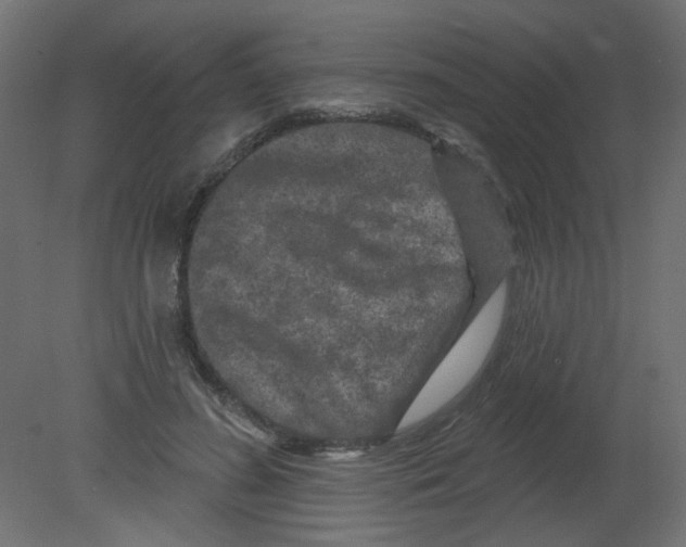 X0000080740596200701121939