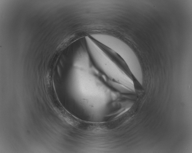 X0000080740597200701121939