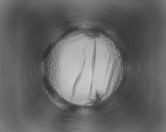 X0000080740598200701121939