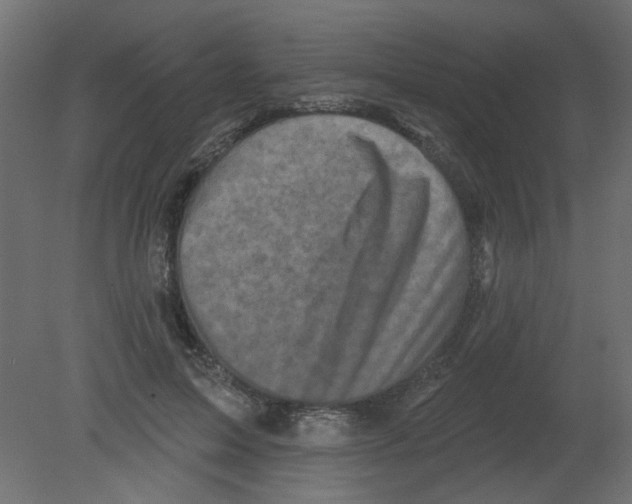 X0000080740599200701121939