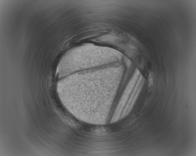 X0000080740600200701121939