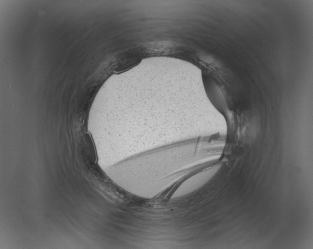 X0000080740601200701121939