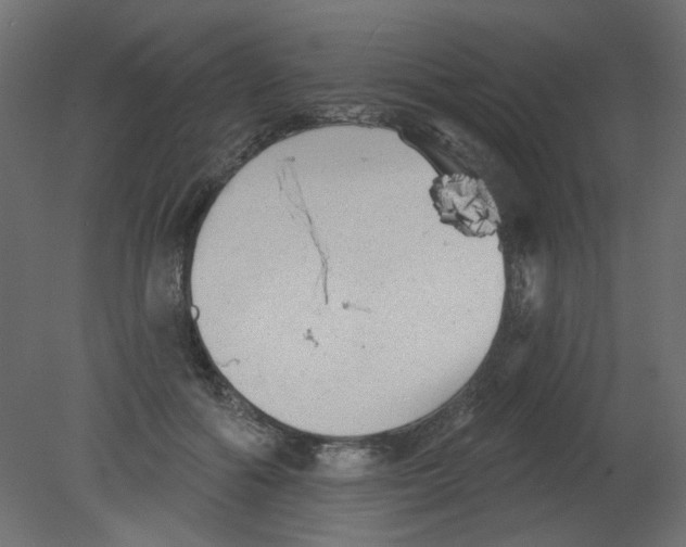 X0000080740602200701121939