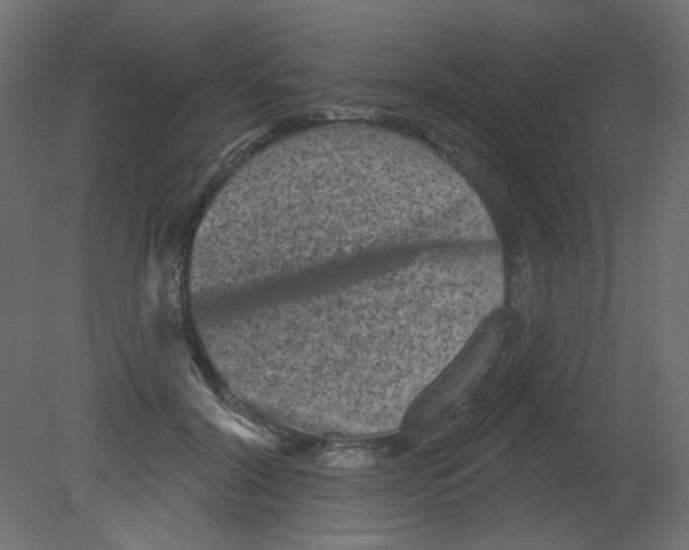 X0000080740604200701121938