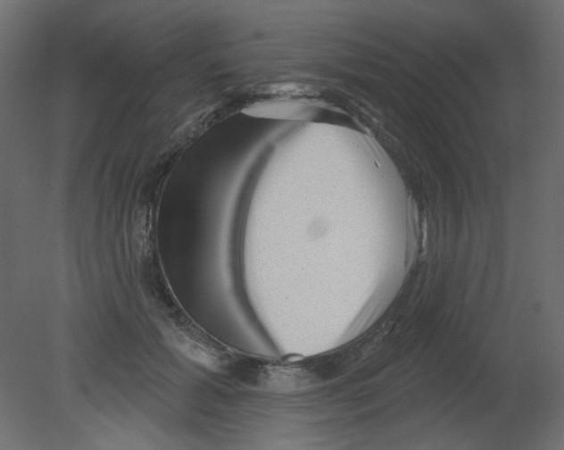 X0000080740605200701121938