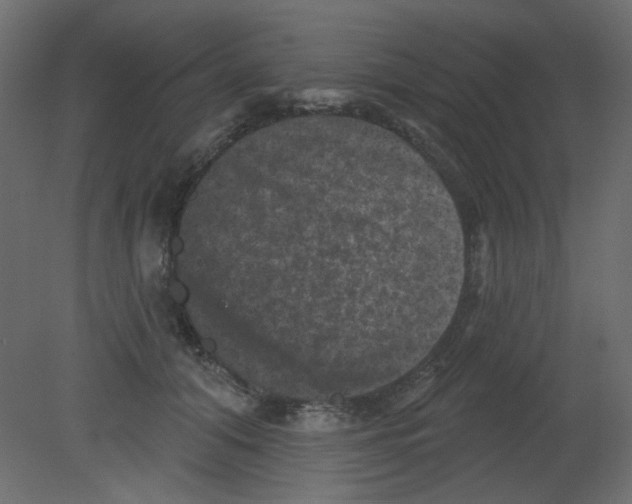 X0000080740608200701121938