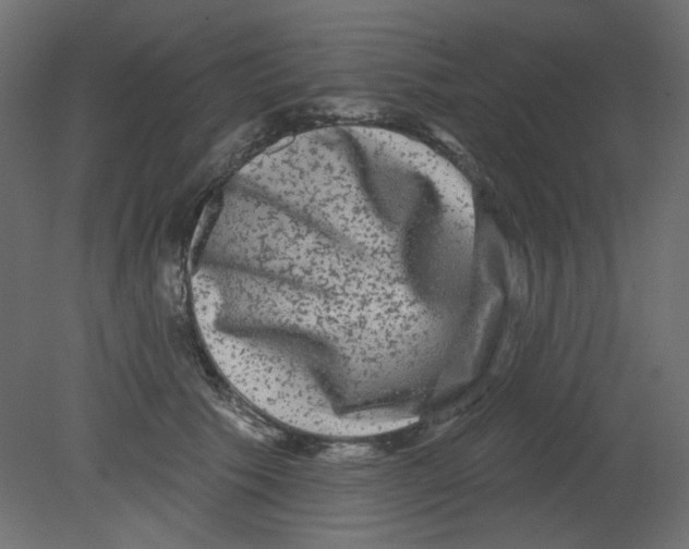 X0000080740609200701121938