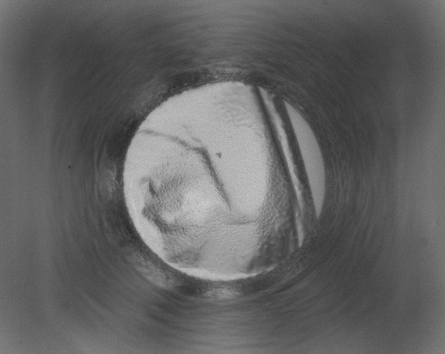 X0000080740610200701121938