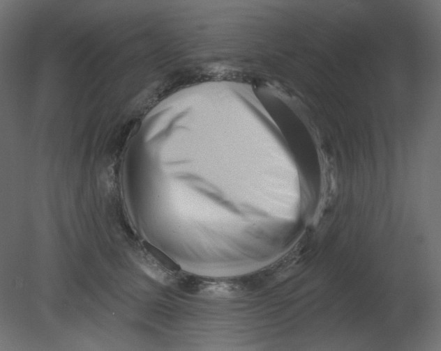 X0000080740611200701121938