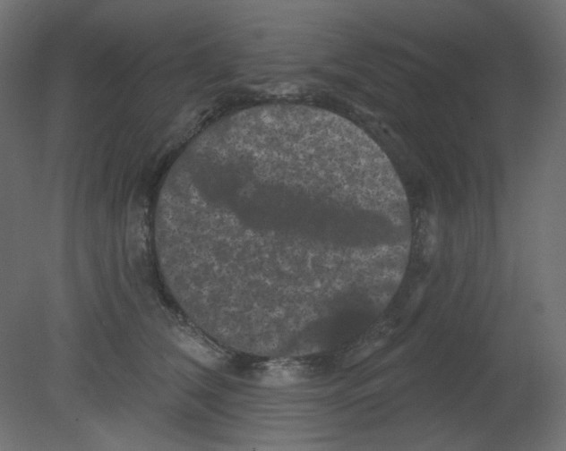 X0000080740612200701121938