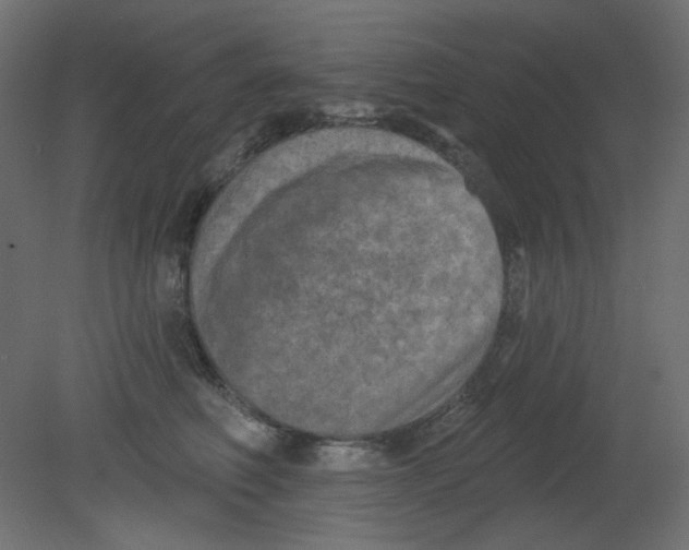 X0000080740614200701121938